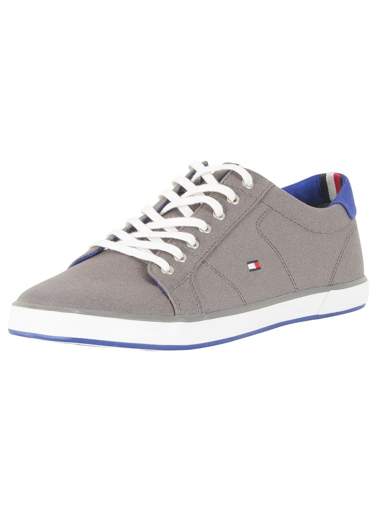 Tommy Hilfiger Flag Canvas Trainers 