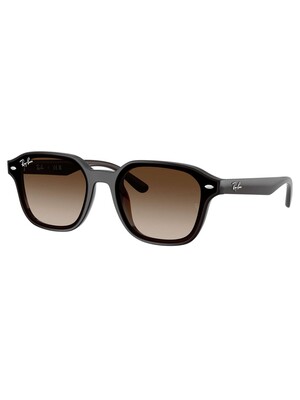 Ray-Ban RB4458D Square Sunglasses - Transparent Dark Brown