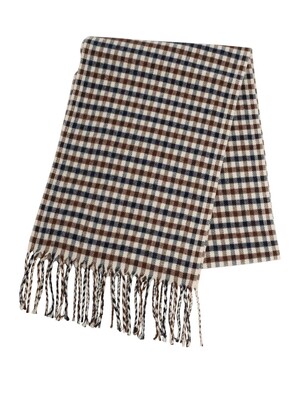 Aquascutum Club Check Scarf - Multi