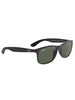 Ray-Ban RB4202 Andy Sunglasses - Green Classic