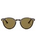 Ray-Ban Round Propionate Sunglasses - Light Havana/Dark Brown