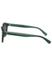 Polo Ralph Lauren 0PH4192 Round Sunglasses - Green
