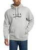 Vans Determined Back Graphic Pullover Hoodie - Light Grey
